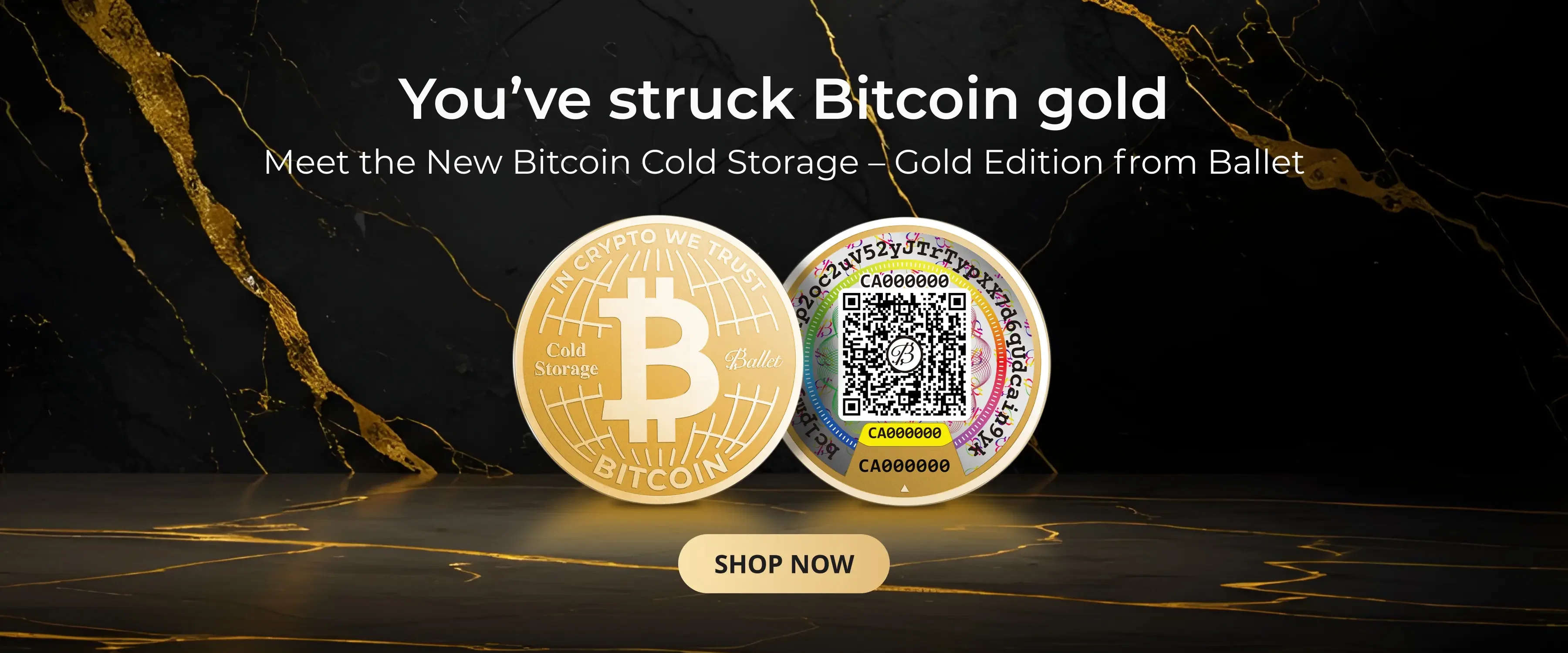 Bitcoin cold storage coin